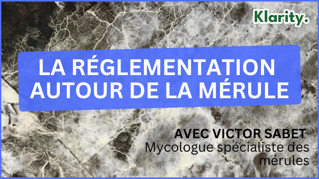 Replay WEBINAIRE : « La réglementation autour de la mérule »
